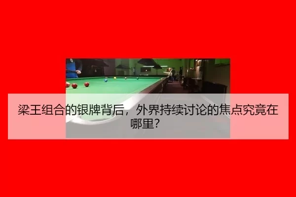 梁王组合的银牌背后，外界持续讨论的焦点究竟在哪里？